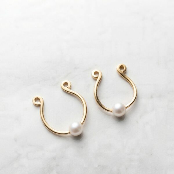 REPIOR NODE Curated Anatomical Ensemble Curated Set Pearls, Copper