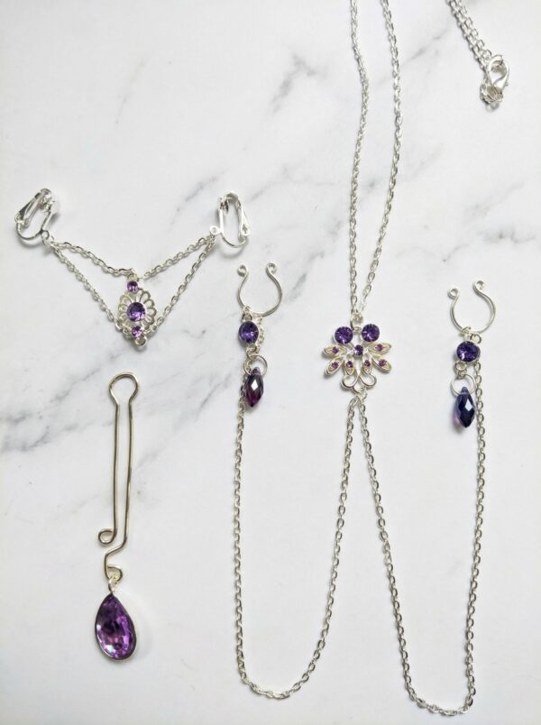 REPIOR VEIL Curated Anatomical Ensemble Set Stainless Steel