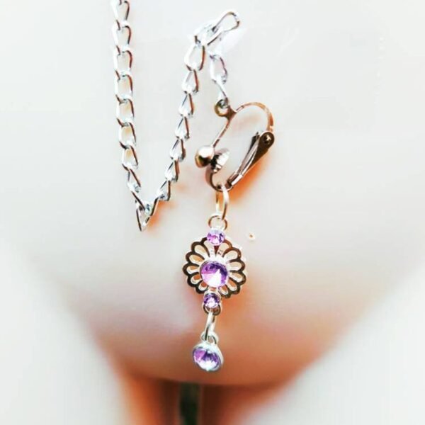 Necklace Chain Connected to Clit Chain, Sexy Purple Labia Clamp