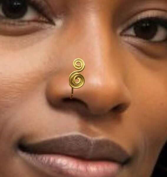 Double Spiral Nose Ring